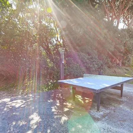 Apartamento - Terrace - Private Parking & Pool Antibes
